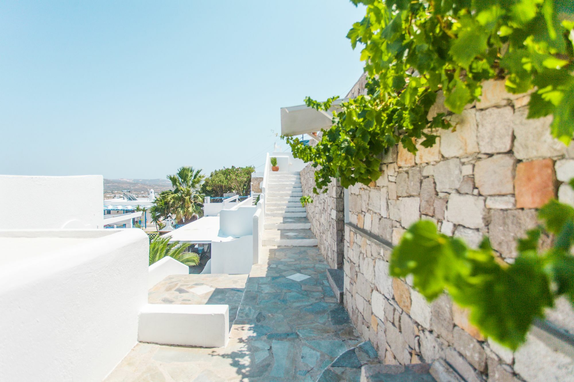 Alexandros Village Adamantas Eksteriør billede
